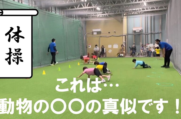 biimaサムネイル